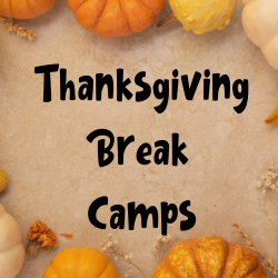 Thanksgiving Break Camps