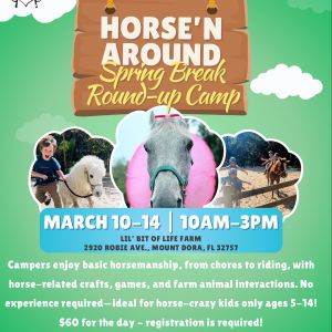 Lil Bit of Life Horsin' Around Spring Break Camp