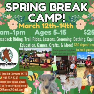 DreamCatcher Horse Ranch Spring Break Camp