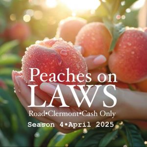 Peaches on Laws Road