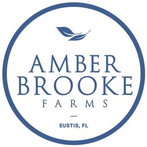 Amber Brooke Farms